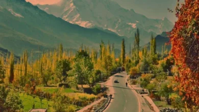 خیبرپختونخواہ حکومت نے ہوم اسٹے ٹورازم پروگرام کے معاہدے پر دستخط کیے ہیں