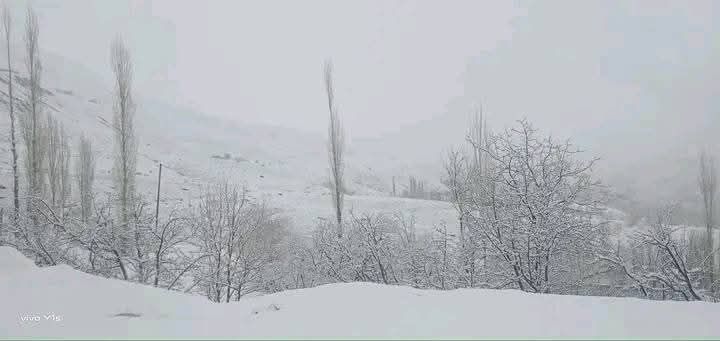 وادی کھوت، تورکھو اپر چترال میں اپریل کے اختتام پر برفباری کا سلسلہ جاری