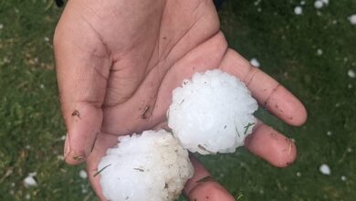 اسلام آباد میں دوبارہ ژالہ باری کا خطرہ، شو روم مالکان نے گاڑیوں کو ڈھانپنا شروع کردیا