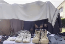 لوئر دیر میں سیکورٹی فورسز کی وردی پہن کر ڈکیتی کرنے والا گروہ گرفتار