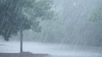 ضلع خیبر میں موسلادھار بارش اور ژالہ باری کے بعد سیلابی ریلے نے تباہی مچا دی