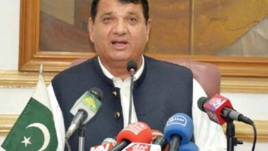 جب تک ایک پاکستانی بھی زندہ ہے مسئلہ کشمیر زندہ رہے گا، امیر مقام کا خطاب