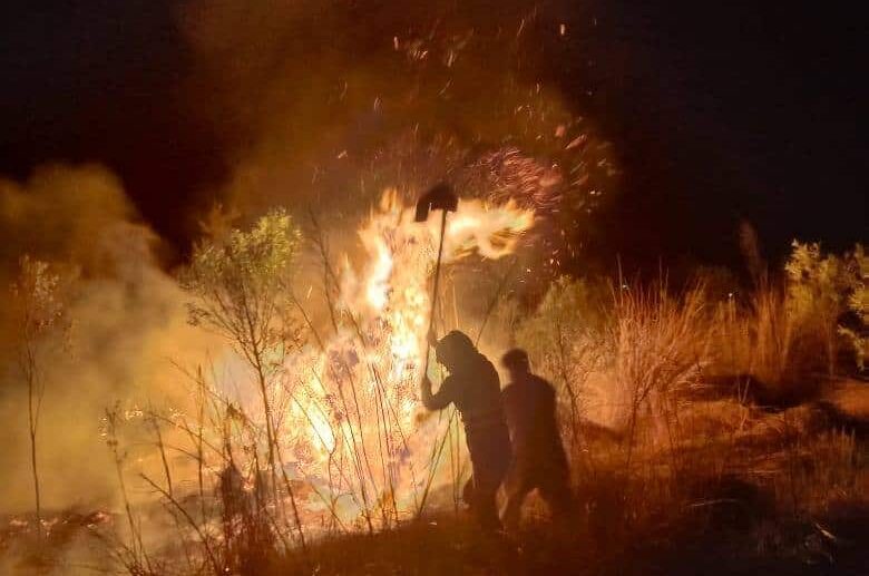 لوئر چترال میں جنگلی آگ پر ریسکیو 1122 نے قابو پا لیا