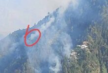 شانگلہ میں جنگل کی آگ بجھانے کی کوشش میں دو افراد جاں بحق
