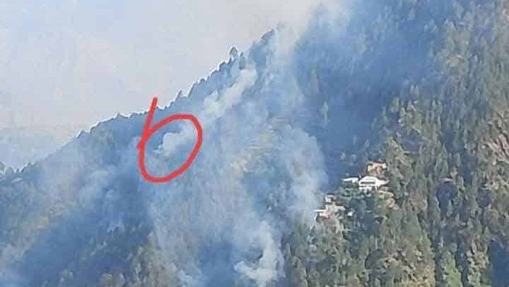 شانگلہ میں جنگل کی آگ بجھانے کی کوشش میں دو افراد جاں بحق